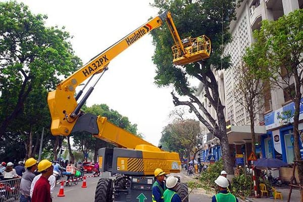 Xe nâng người cắt tỉa cây xanh – hỗ trợ cho mọi công trình